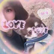 ヒメ日記 2026/02/15 20:34 投稿 さとみ（人妻） Yシャツと私