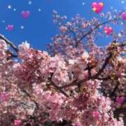 ヒメ日記 2026/02/19 15:06 投稿 さとみ（人妻） Yシャツと私