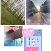 ヒメ日記 2026/03/18 00:15 投稿 さとみ（人妻） Yシャツと私