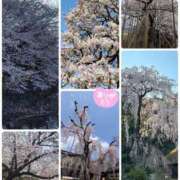 ヒメ日記 2026/03/30 09:01 投稿 さとみ（人妻） Yシャツと私