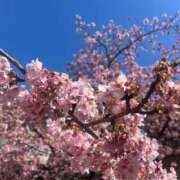 ヒメ日記 2026/04/03 09:16 投稿 さとみ（人妻） Yシャツと私