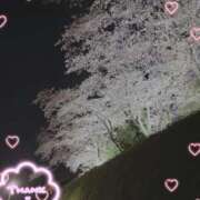 ヒメ日記 2026/04/06 00:13 投稿 さとみ（人妻） Yシャツと私