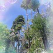 ヒメ日記 2026/04/12 19:23 投稿 さとみ（人妻） Yシャツと私