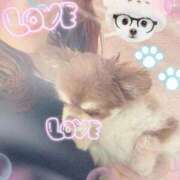 ヒメ日記 2026/04/15 11:58 投稿 さとみ（人妻） Yシャツと私