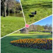 ヒメ日記 2026/04/20 08:56 投稿 さとみ（人妻） Yシャツと私