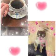 ヒメ日記 2026/05/01 10:23 投稿 さとみ（人妻） Yシャツと私