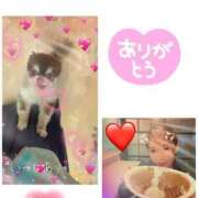 ヒメ日記 2026/05/11 21:12 投稿 さとみ（人妻） Yシャツと私
