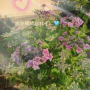 ヒメ日記 2026/05/18 08:40 投稿 さとみ（人妻） Yシャツと私