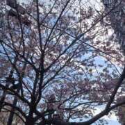 ヒメ日記 2026/03/25 19:43 投稿 えれん もしも清楚な20、30代の妻とキスイキできたら横浜店