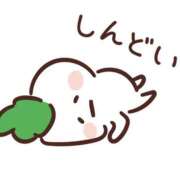 ヒメ日記 2025/11/22 17:00 投稿 せいな クンニ専門店 おクンニ学園 池袋校