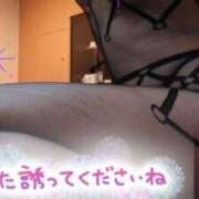 ヒメ日記 2025/06/06 07:04 投稿 ともみ タレント倶楽部Around40