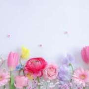 ヒメ日記 2025/07/24 08:28 投稿 ともみ タレント倶楽部Around40