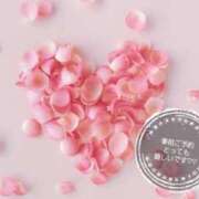 ヒメ日記 2026/01/25 23:52 投稿 ともみ タレント倶楽部Around40