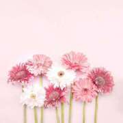 ヒメ日記 2026/01/28 09:50 投稿 ともみ タレント倶楽部Around40