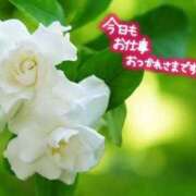 ヒメ日記 2026/06/04 11:28 投稿 ともみ タレント倶楽部Around40