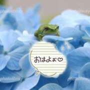 ヒメ日記 2026/06/23 09:26 投稿 ともみ タレント倶楽部Around40