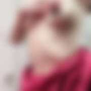 ヒメ日記 2026/03/25 16:30 投稿 きほ パイレーツ