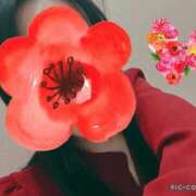 ヒメ日記 2025/11/26 11:32 投稿 屋代らい 全裸美女からのカゲキな誘惑