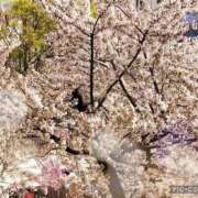 ヒメ日記 2026/03/31 18:31 投稿 屋代らい 全裸美女からのカゲキな誘惑