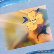 ヒメ日記 2025/06/01 01:13 投稿 綾羅木らい THE痴漢電車.com