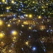 ヒメ日記 2026/02/21 20:06 投稿 なつめ ラブ・アンド・ラブ