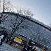 ヒメ日記 2026/03/17 12:16 投稿 なつめ ラブ・アンド・ラブ