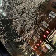 ヒメ日記 2026/04/02 20:16 投稿 なつめ ラブ・アンド・ラブ