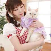 ヒメ日記 2025/04/30 09:33 投稿 ゆいか Beppin house