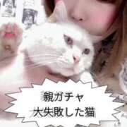 ヒメ日記 2025/05/28 14:43 投稿 ゆいか Beppin house