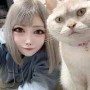 ヒメ日記 2025/06/20 14:30 投稿 ゆいか Beppin house