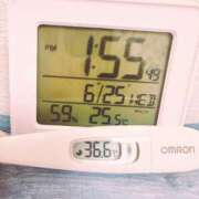 ヒメ日記 2025/06/25 14:50 投稿 ゆいか Beppin house