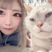 ヒメ日記 2025/06/27 10:30 投稿 ゆいか Beppin house