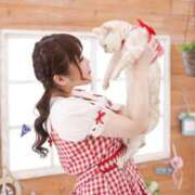 ヒメ日記 2025/06/30 11:40 投稿 ゆいか Beppin house