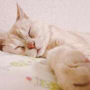 ヒメ日記 2025/07/07 15:30 投稿 ゆいか Beppin house