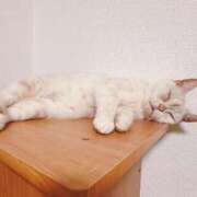 ヒメ日記 2025/07/26 11:00 投稿 ゆいか Beppin house