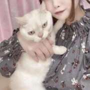 ヒメ日記 2025/08/06 10:03 投稿 ゆいか Beppin house