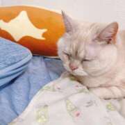 ヒメ日記 2025/08/17 14:20 投稿 ゆいか Beppin house