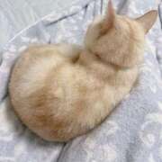 ヒメ日記 2025/08/21 15:30 投稿 ゆいか Beppin house