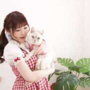 ヒメ日記 2025/08/22 13:30 投稿 ゆいか Beppin house