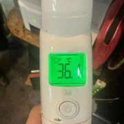 ヒメ日記 2025/09/29 15:00 投稿 ゆいか Beppin house