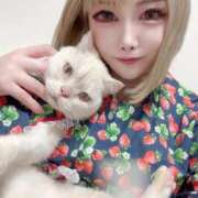 ヒメ日記 2025/11/14 11:50 投稿 ゆいか Beppin house