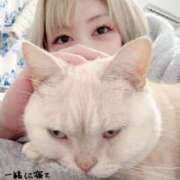 ヒメ日記 2025/12/19 22:30 投稿 ゆいか Beppin house