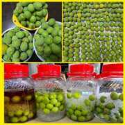 ヒメ日記 2025/06/11 11:00 投稿 ちぇる Beppin house