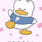 ヒメ日記 2026/03/12 20:20 投稿 ちぇる Beppin house