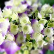 ヒメ日記 2025/05/17 21:11 投稿 ますみ 出会い系人妻ネットワーク錦糸町～小岩編