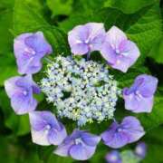 ヒメ日記 2025/05/30 18:58 投稿 ますみ 出会い系人妻ネットワーク錦糸町～小岩編