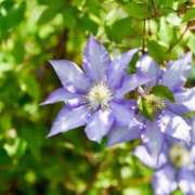 ヒメ日記 2025/06/01 21:33 投稿 ますみ 出会い系人妻ネットワーク錦糸町～小岩編