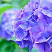 ヒメ日記 2025/06/15 11:31 投稿 ますみ 出会い系人妻ネットワーク錦糸町～小岩編