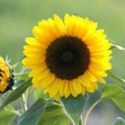 ヒメ日記 2025/08/31 20:31 投稿 ますみ 出会い系人妻ネットワーク錦糸町～小岩編