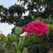 ますみ 嬉しい再会✨ 出会い系人妻ネットワーク錦糸町～小岩編